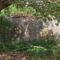 Photo de France - La randonnée de la Tamarissière